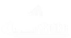 BuddySpike Logo
